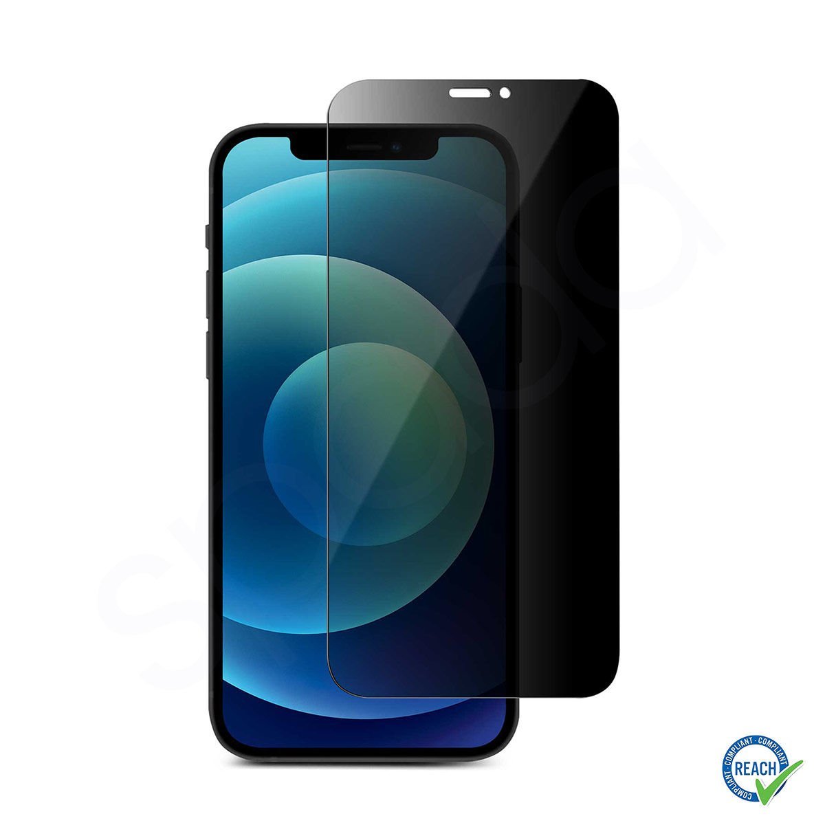 iPhone 11 Spada Privacy Tam Ekran Koruma Camı