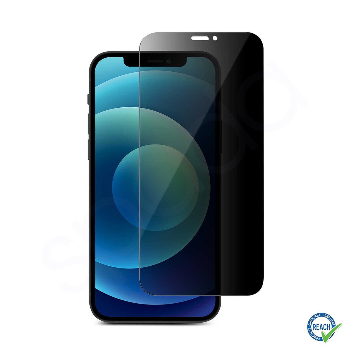 iPhone 11 Pro Spada Privacy Tam Ekran Koruma Camı