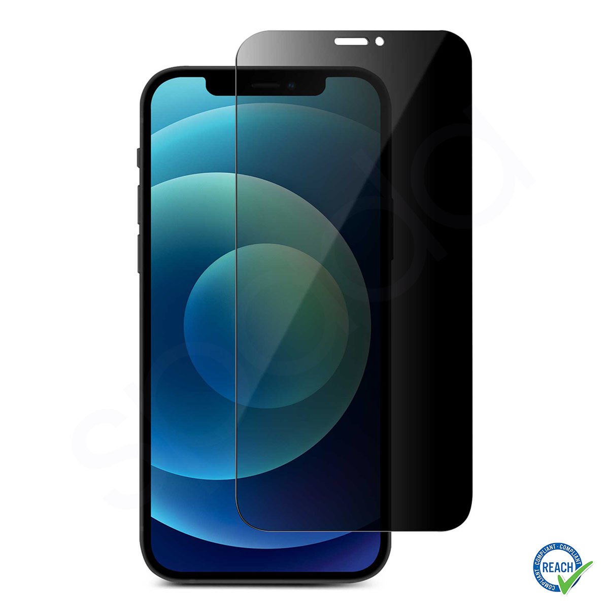 iPhone 11 Pro Max Spada Privacy Tam Ekran Koruyucu Cam